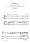 Mobile Preview: Ungarisch - Konzertstück in 5 Sätzen für Violine und Klavier