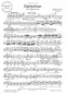 Mobile Preview: Diptychon für Violoncello solo (pdf-Download)