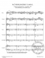 Preview: Flötenkonzert (Bach-Metamorphose I) -Neufassung 2003-