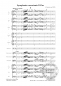 Preview: Symphonie concertante D-Dur (D8)