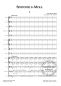 Preview: Sinfonie g-Moll für Orchester (LM)