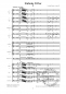 Preview: Sinfonie D-Dur op. post. 42 für Orchester (LM)
