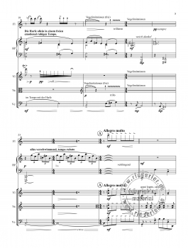 Preview: Herbstmilch. In Memoriam Anna Winschneider für Flöte, Harfe, Violine, Viola, Violoncello