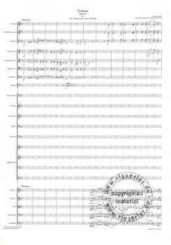 Fridolin - Burleske für Soli, Männerchor und Orchester