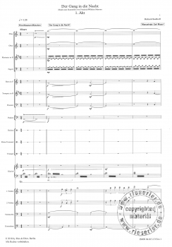 Neukomposition zum Stummfilm "Der Gang in die Nacht" von Friedrich Wilhelm Murnau für kleines Orchester