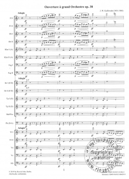Ouverture à grand Orchestre d-Moll Nr. 1 op. 38