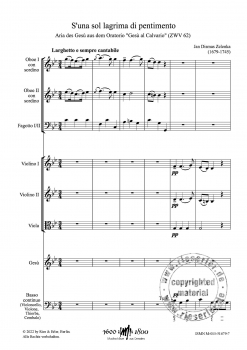 S'una sol lagrima di pentimento für Alt-Solo, 2 Oboen, 2 Fagotte, Streicher und Basso continuo (LM)