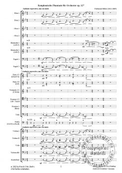 Symphonische Fantasie für Orchester op. 127
