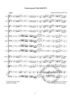Concerto grosso G-Dur (SeiH 217) (LM)