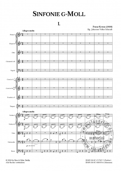 Sinfonie g-Moll für Orchester (LM)