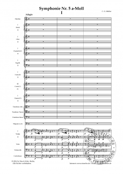 Symphonie Nr. 5 a-Moll für Orchester (LM)