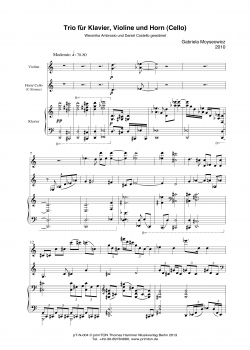TRIO für Klavier, Violine und Horn (Cello)