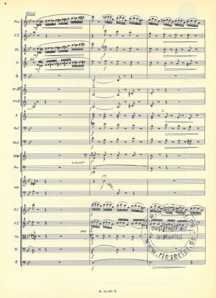 Stürmische Begegnung für Orchester