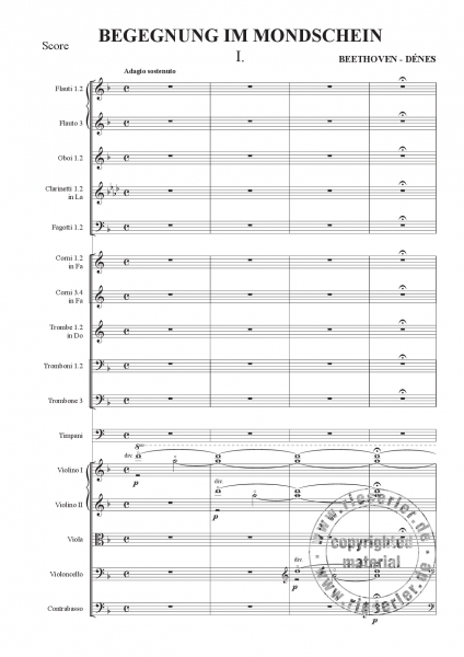 Begegnung im Mondschein - Sinfonia quasi una Fantasia für Violine, Klavier und Orchester