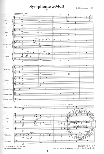 Symphonie a-Moll op. 20 (LM)