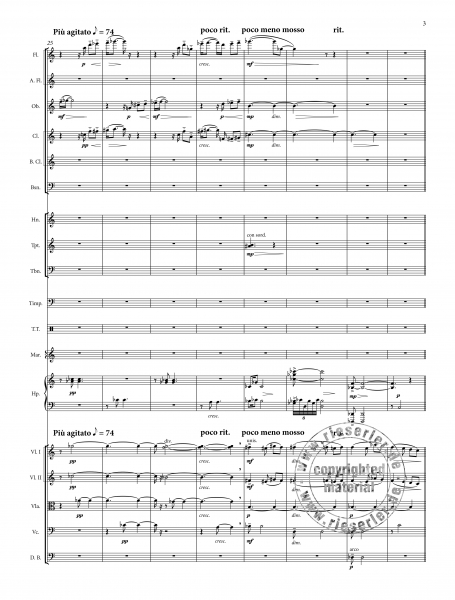 Passacaglia in Yellow-Blue für Orchester